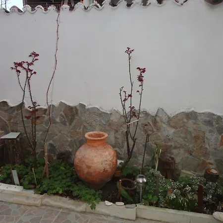 Hemus Guest house *